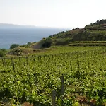 Apartmán Farska Murvica (Brac)