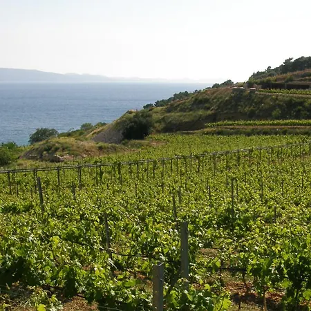 Apartment Farska Murvica (Brac)