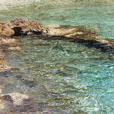 Farska * Murvica (Brac)
